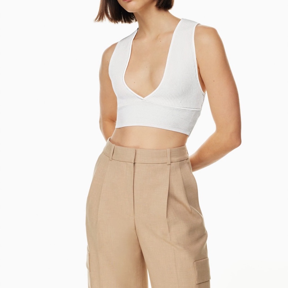 Aritzia Babaton Sculpt Knit Deep V Tank (Never Worn)